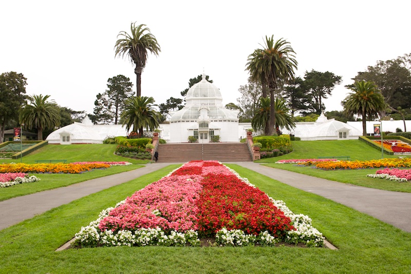 Conservatory of Flowers SF | Karina Louise Photography